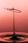 drop, splash, impact, ripples, water, ripple effect, waves, nature, macro, drip, liquid, surface tension, surface, water surface, droplet